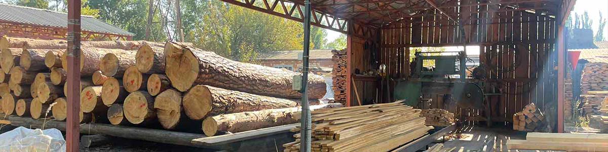 Лісопильне виробництво